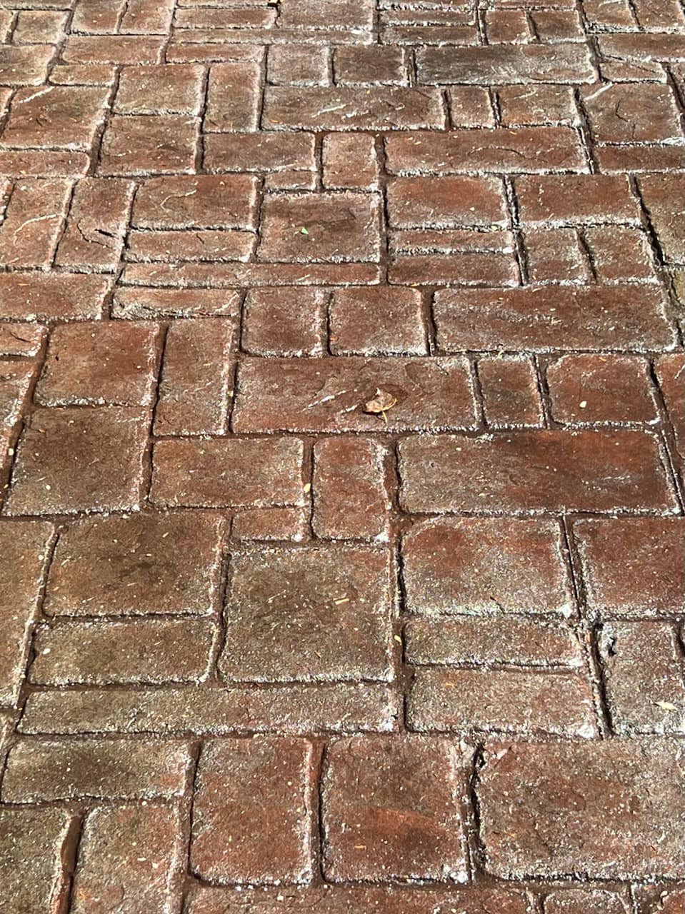 A wet brick pavement with a geometric pattern and a dry leaf on its surface.